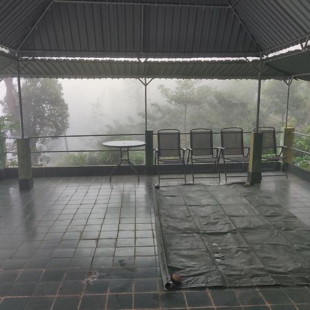 Rohana Estate Lodging & Camping Kandy Eksteriør bilde