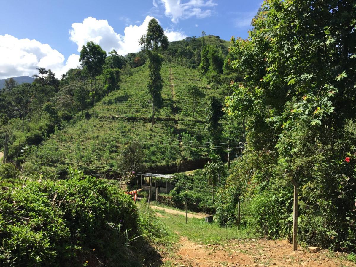 Rohana Estate Lodging & Camping Kandy Eksteriør bilde