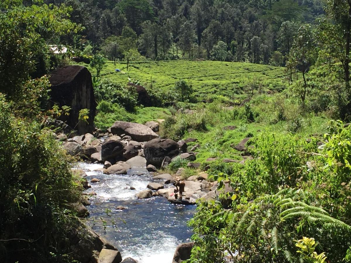 Rohana Estate Lodging & Camping Kandy Eksteriør bilde