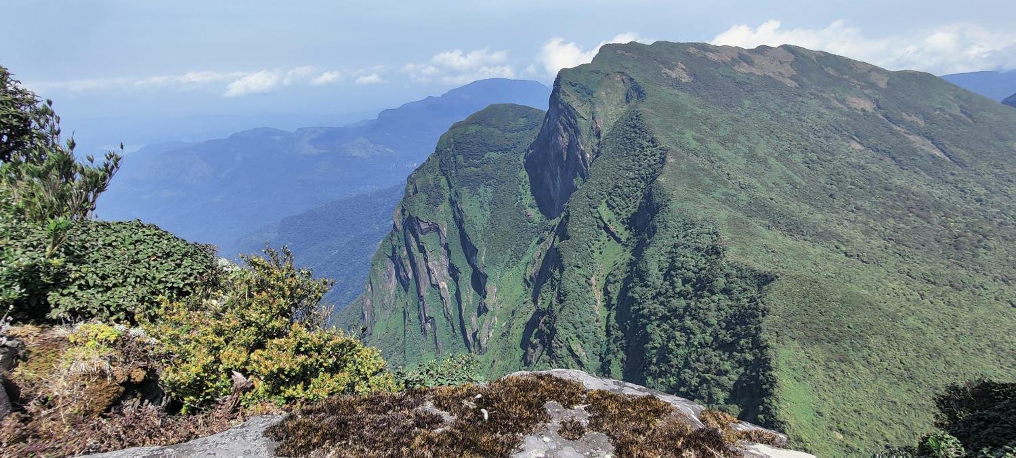 Rohana Estate Lodging & Camping Kandy Eksteriør bilde