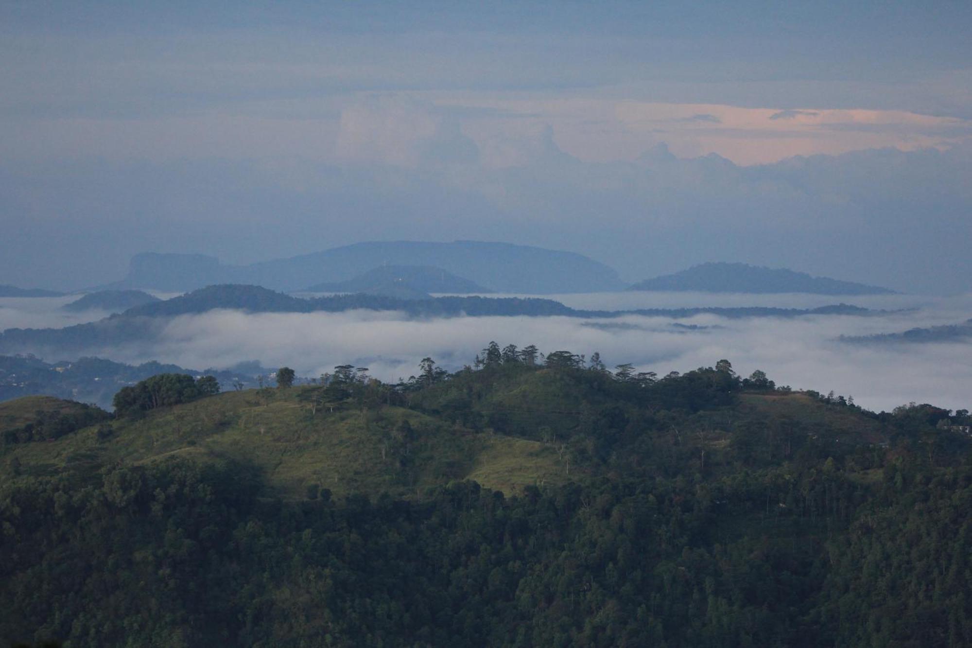 Rohana Estate Lodging & Camping Kandy Eksteriør bilde
