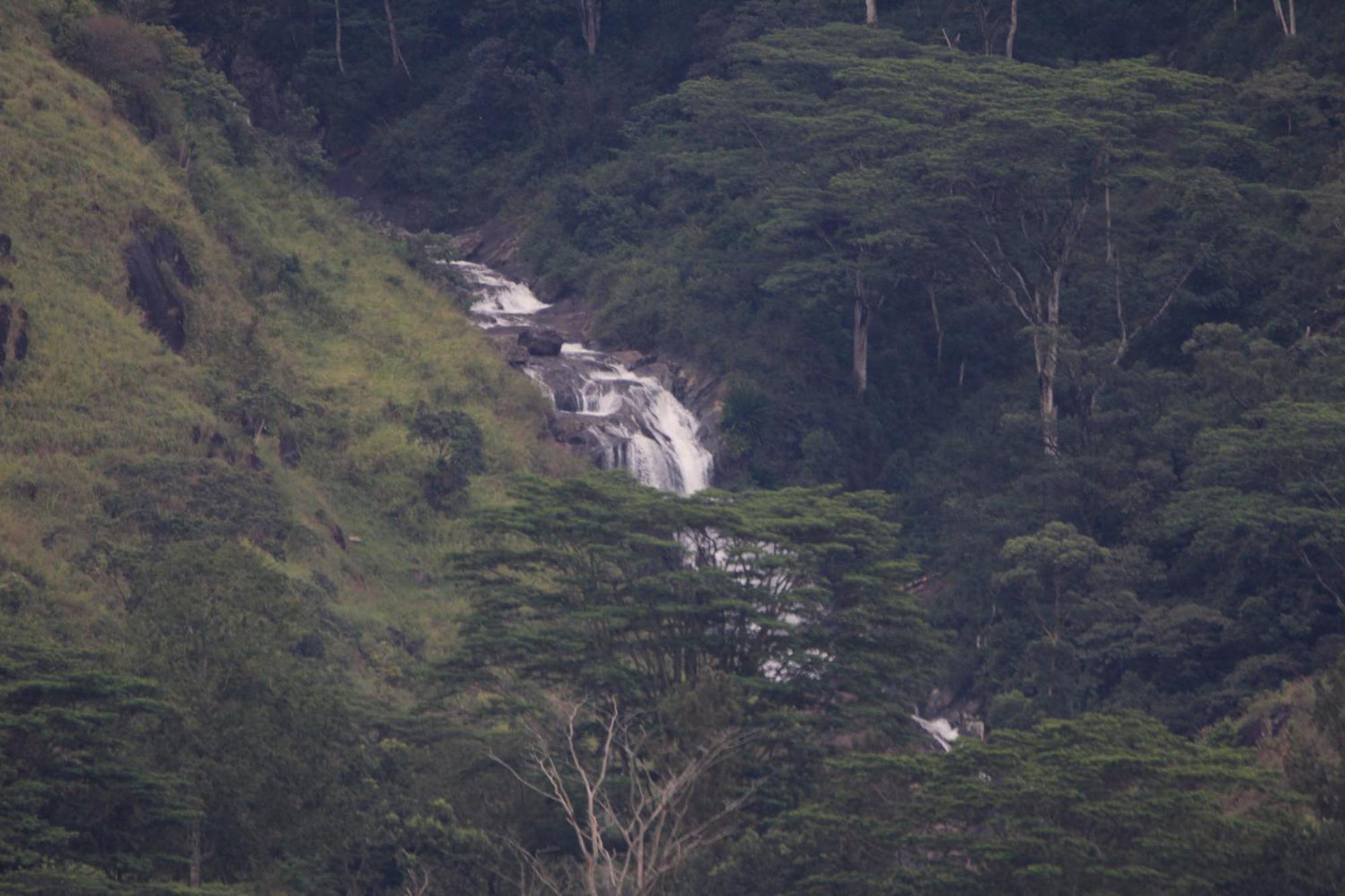 Rohana Estate Lodging & Camping Kandy Eksteriør bilde