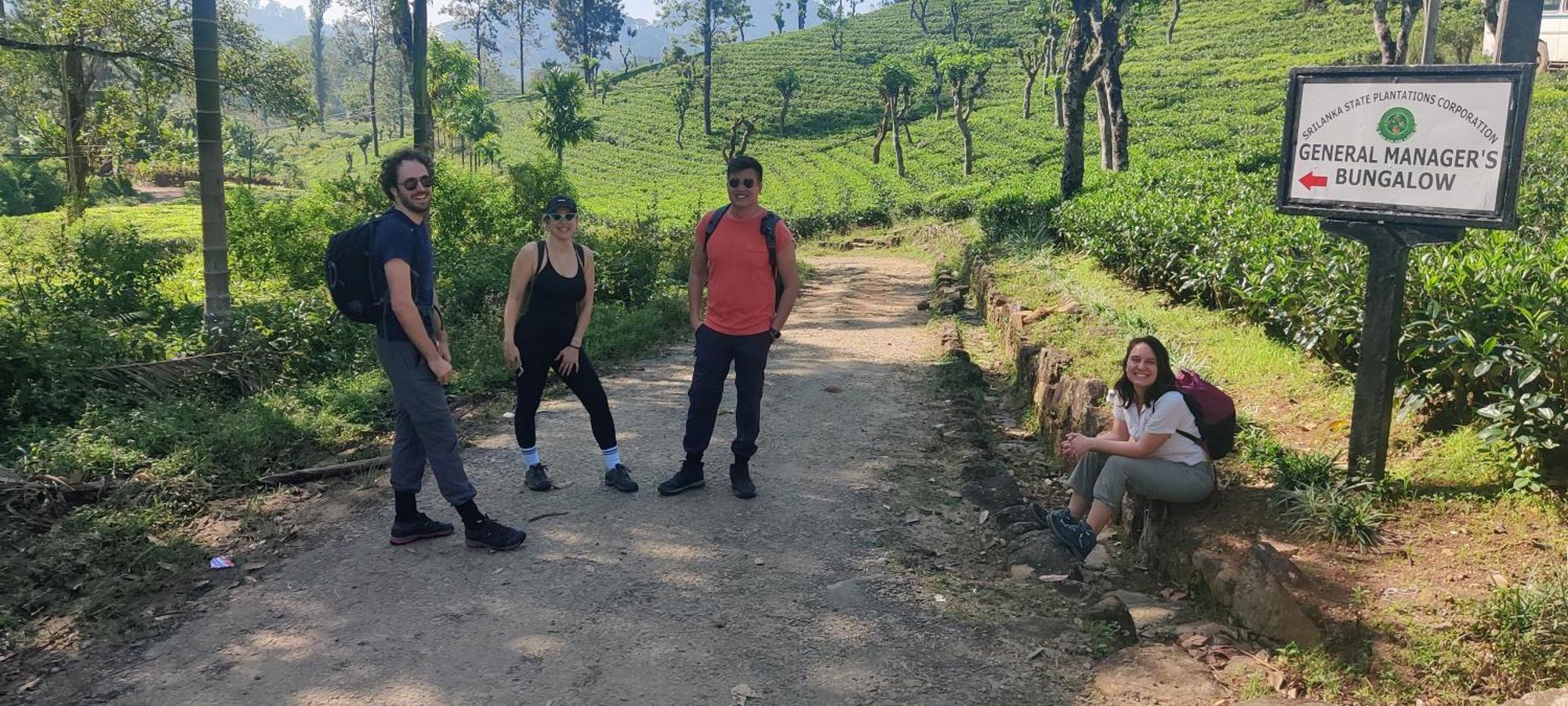 Rohana Estate Lodging & Camping Kandy Eksteriør bilde