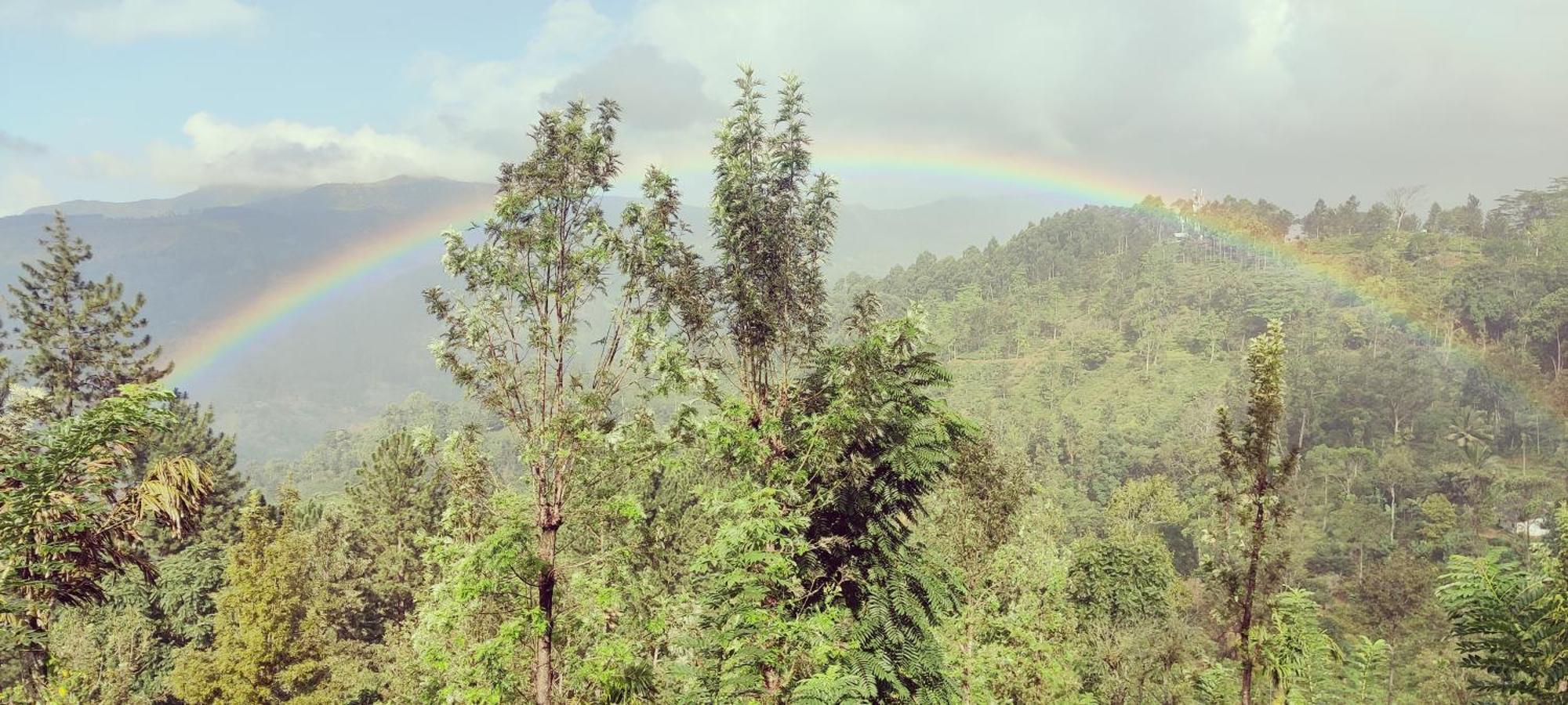 Rohana Estate Lodging & Camping Kandy Eksteriør bilde
