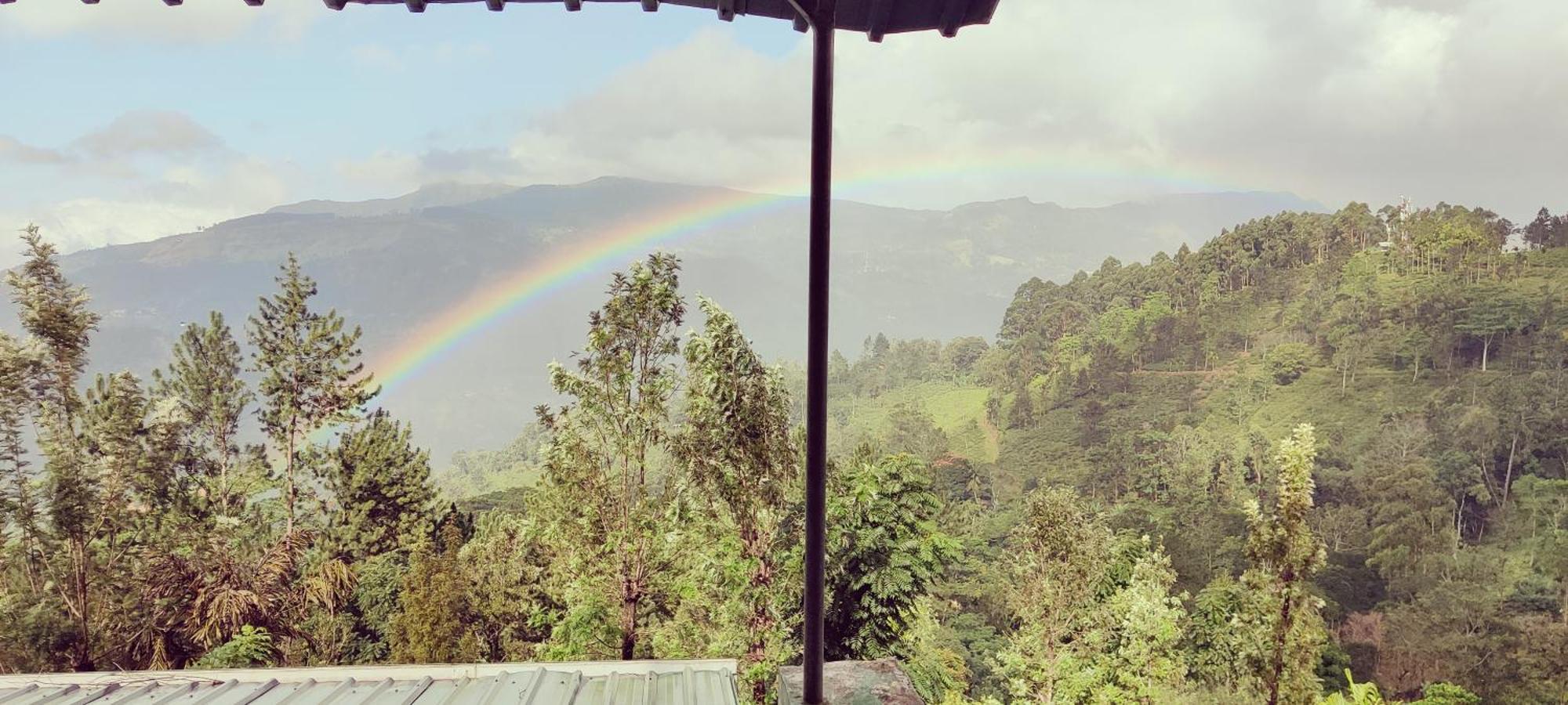 Rohana Estate Lodging & Camping Kandy Eksteriør bilde
